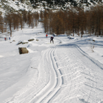 Balme
